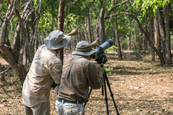Bird watching in Abarana ella With Ravana Adventure Park
