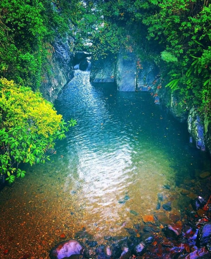 Rangala Natural Pool