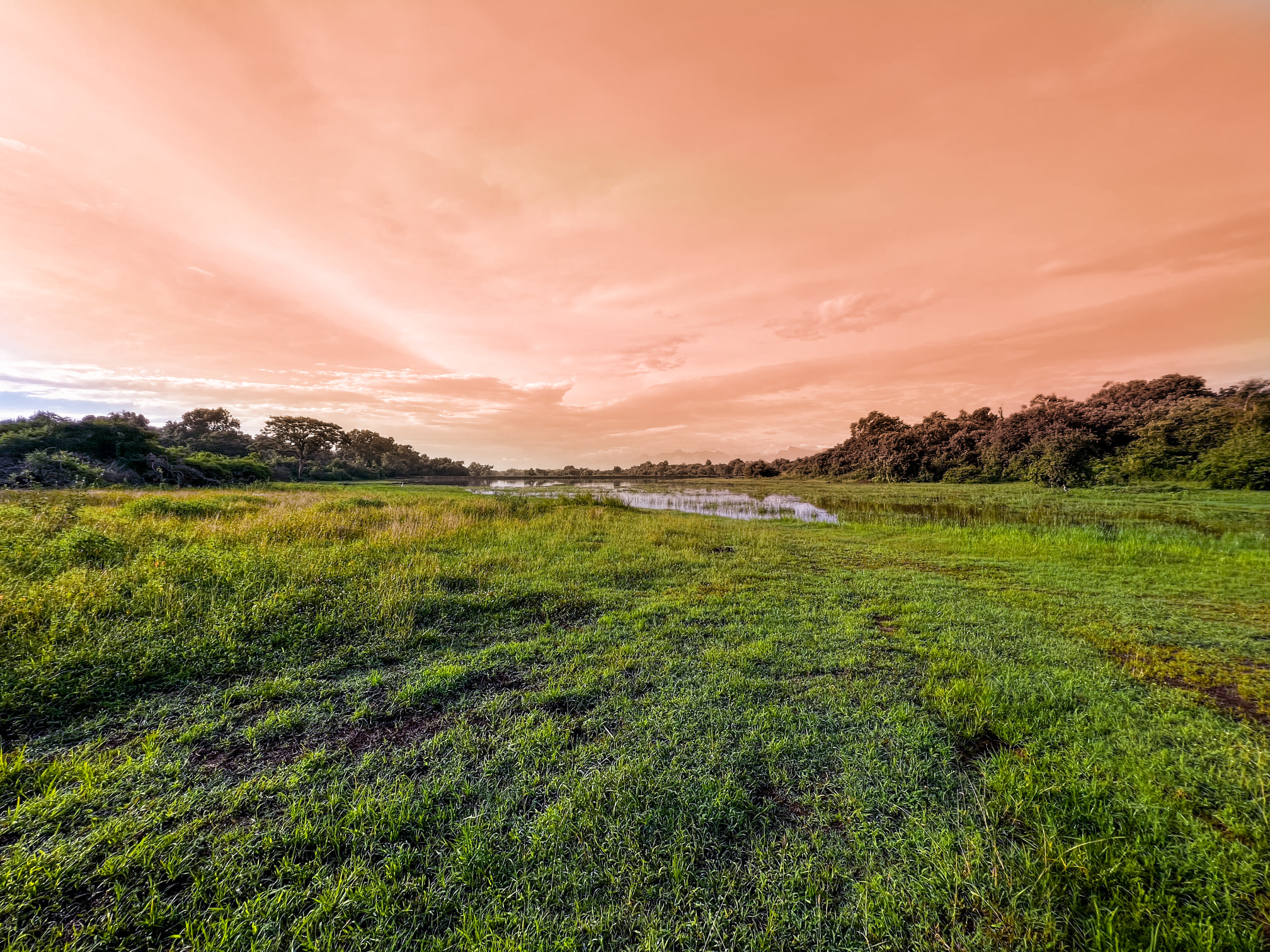 Wasgamuwa National Park