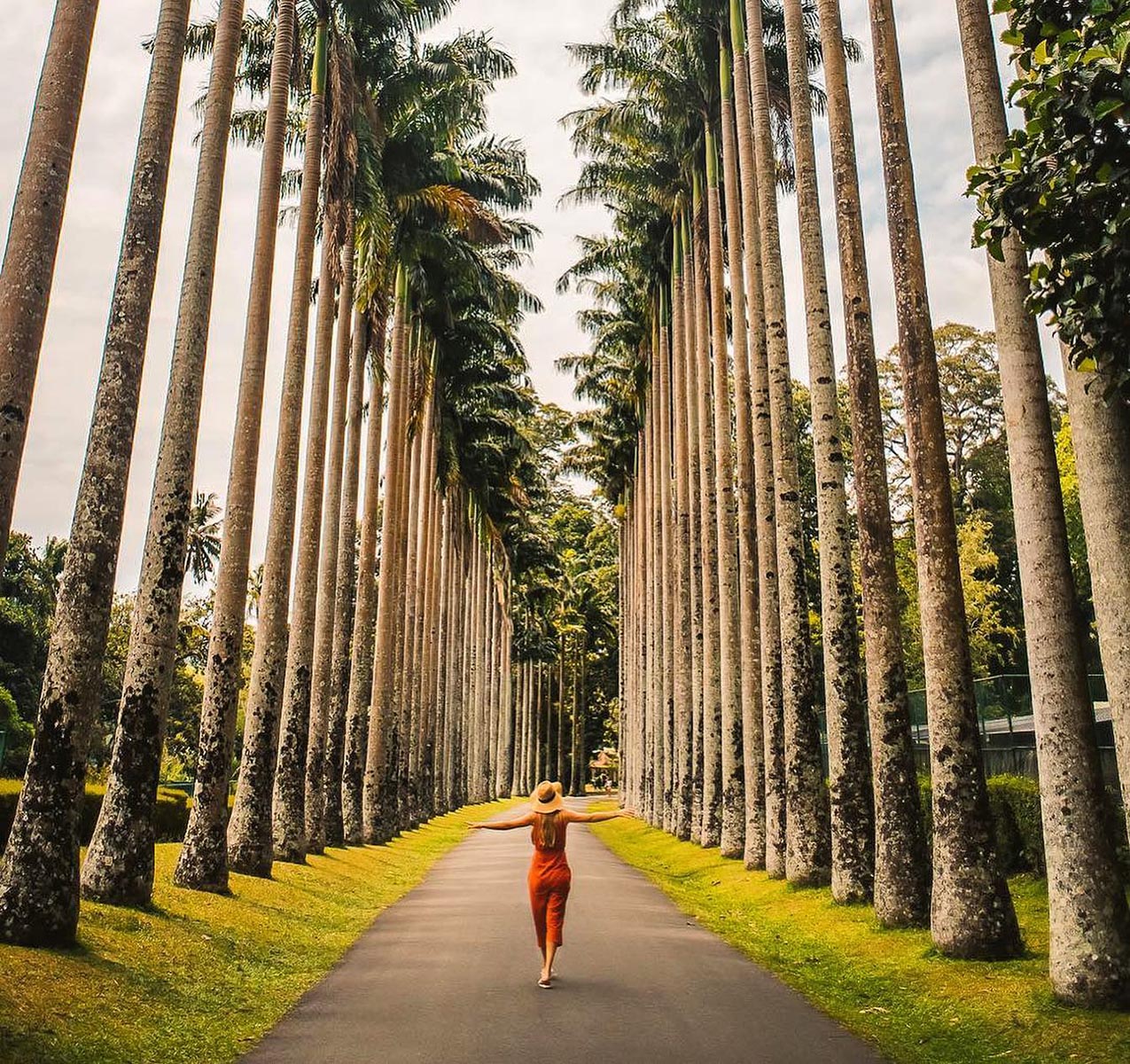 Sight-seeing in Royal Botanic Gardens